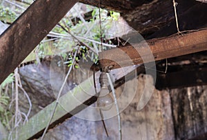 the objects found in the deserted and dilapidated colonial building.