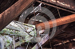 the objects found in the deserted and dilapidated colonial building.