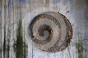 the objects found in the deserted and dilapidated colonial building.