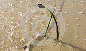 Objects and outdoors