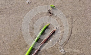 Objects and outdoors