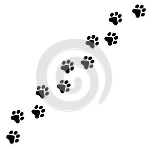 Oblique paw prints path vector