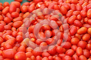 Oblong Cherry tomatoes, Solanum lycopersicum