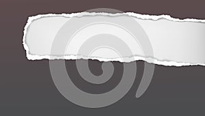 Oblong hole composition in dark grey paper with torn edges and soft shadow is on white background. Vector illustration