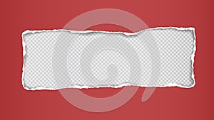 Oblong hole composition in dark red paper with torn edges and soft shadow is on squared background. Vector illustration