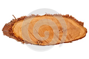Oblong wood slice cross section rings of tree, Juniper texture,