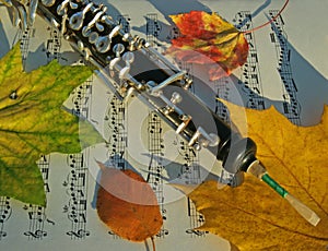 Oboe, Autumn Leaves & Music Page