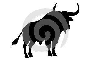 Buffalo animal silhouette photo