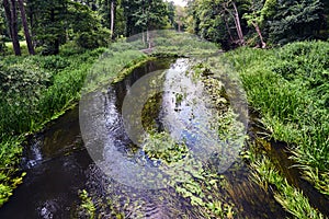 The Obra river flowing through the forest during summer photo