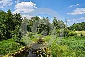 The Obra river flowing through the Meadow during summer