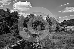 The Obra river flowing through the Meadow during summer photo