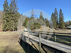 Observation catwalk Passerelle d`observation or Beobachtungslaufsteg in the Zoo Juraparc Vallorbe - Canton of Vaud, Switzerland