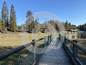 Observation catwalk Passerelle d`observation or Beobachtungslaufsteg in the Zoo Juraparc Vallorbe - Canton of Vaud, Switzerland