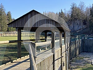 Observation catwalk Passerelle d`observation or Beobachtungslaufsteg in the Zoo Juraparc Vallorbe - Canton of Vaud, Switzerland