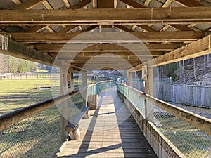 Observation catwalk Passerelle d`observation or Beobachtungslaufsteg in the Zoo Juraparc Vallorbe - Canton of Vaud, Switzerland