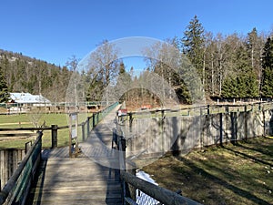 Observation catwalk Passerelle d`observation or Beobachtungslaufsteg in the Zoo Juraparc Vallorbe - Canton of Vaud, Switzerland