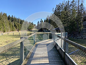 Observation catwalk Passerelle d`observation or Beobachtungslaufsteg in the Zoo Juraparc Vallorbe - Canton of Vaud, Switzerland