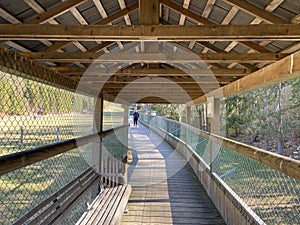 Observation catwalk Passerelle d`observation or Beobachtungslaufsteg in the Zoo Juraparc Vallorbe - Canton of Vaud, Switzerland