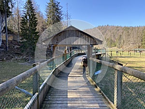 Observation catwalk Passerelle d`observation or Beobachtungslaufsteg in the Zoo Juraparc Vallorbe - Canton of Vaud, Switzerland