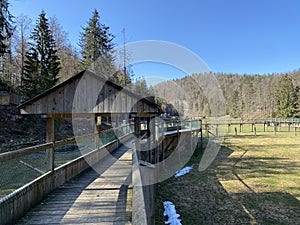 Observation catwalk Passerelle d`observation or Beobachtungslaufsteg in the Zoo Juraparc Vallorbe - Canton of Vaud, Switzerland