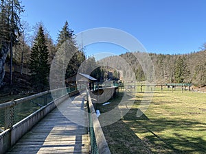 Observation catwalk Passerelle d`observation or Beobachtungslaufsteg in the Zoo Juraparc Vallorbe - Canton of Vaud, Switzerland