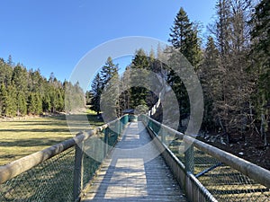 Observation catwalk Passerelle d`observation or Beobachtungslaufsteg in the Zoo Juraparc Vallorbe - Canton of Vaud, Switzerland