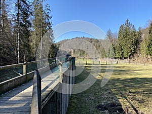 Observation catwalk Passerelle d`observation or Beobachtungslaufsteg in the Zoo Juraparc Vallorbe - Canton of Vaud, Switzerland