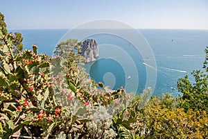 The observation deck Belvedere Tuoro in Capri, Italy