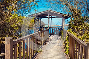 The observation deck in the nature reserve photo