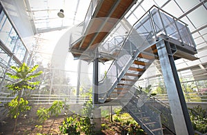 Observation platform at the greenhouse