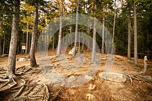 Observation Point Zloty Widok Golden View. Karkonoski National photo