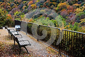 observation seats for autumn color, Arashiyama