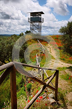 Observation Tower