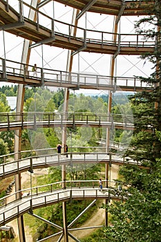 Observation tower (Baumwipfelpfad)