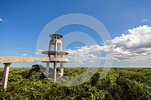 Observation Tower, Everglades National Park