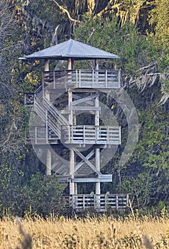 Observation Tower at Paynes Prairie Preserve State Park