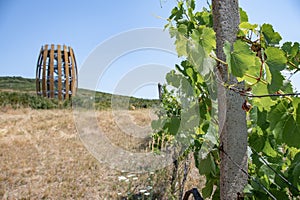 Observation Tower in the village of Mala Trna in the wine region of Tokaj in southeast Slovakia