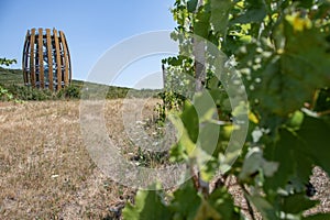 Observation Tower in the village of Mala Trna in the wine region of Tokaj in southeast Slovakia