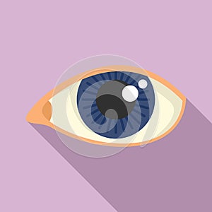 Observe eye icon flat vector. View look