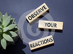 Observe your Reactions symbol. Concept word Lets do this on wooden blocks. Beautiful deep blue background with succulent plant.