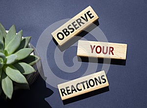 Observe your Reactions symbol. Concept word Lets do this on wooden blocks. Beautiful deep blue background with succulent plant.