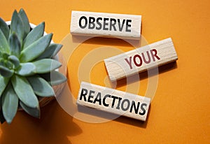 Observe your Reactions symbol. Concept word Lets do this on wooden blocks. Beautiful orange background with succulent plant.