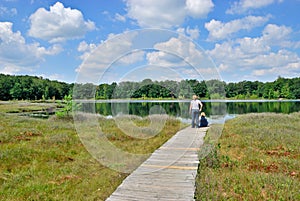 Observing Bog