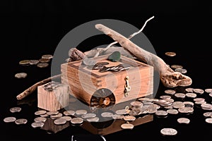 Obsolete US Silver Coins with Block and Driftwood