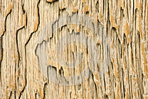 Obsolete wooden surface