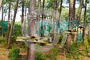 Obstacle tree climbing course in adventure park