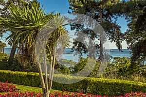 An obstructed view of the longest pleasure pier in the world from the clifftop gardens in Southend-on-Sea, UK photo