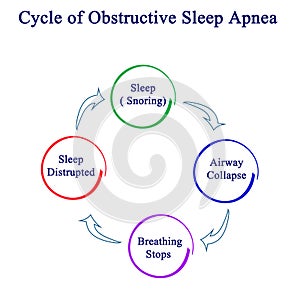 Obstructive Sleep Apnea