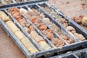 Obtaining soil samples in plastic box