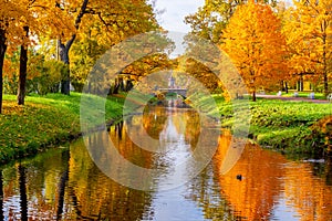 Obvodny canal in Alexander park in autumn, Pushkin Tsarskoe Selo, Saint Petersburg, Russia